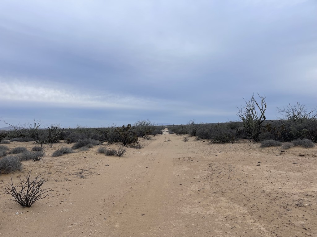 bikepackingbaja , baja divide , bikepacking