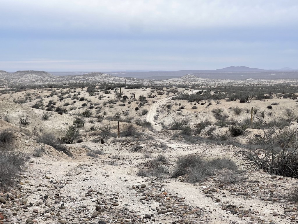 bikepackingbaja , baja divide , bikepacking