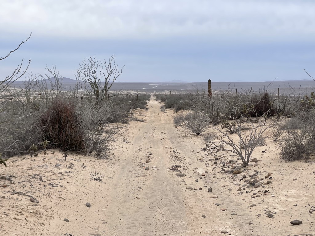 bikepackingbaja , baja divide , bikepacking