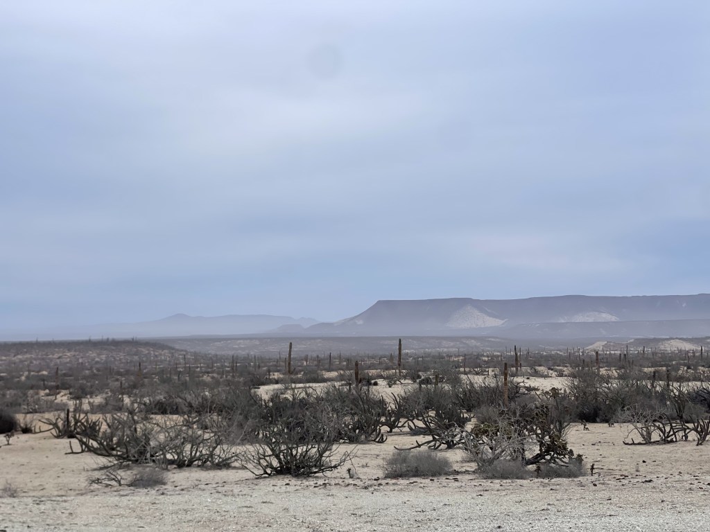 bikepackingbaja , baja divide , bikepacking