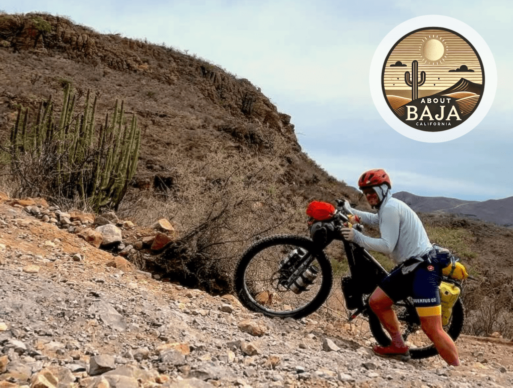 The new RATING system for routes: differentiated and&nbsp;safer